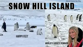 Emperor Penguins of Snow Hill Island | Real Life Happy Feet