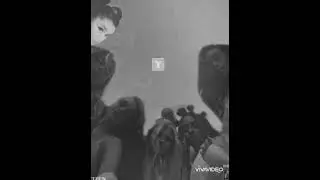 Citizen Queen - Y (feat. Ariana Grande) (Audio) MASHUP 💖