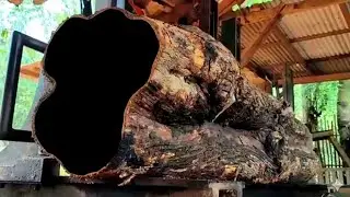 The appearance of the mysterious wood that everyone has been waiting for. sawmill
