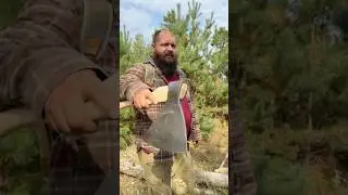 Ищу грибы в опасном месте!