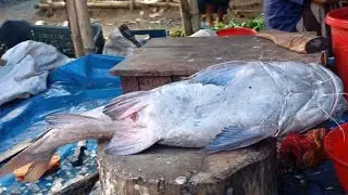 UNBELIEVABLE! 🔥 Fastest Fish Cutting Skills on Earth!#FastestFishCutting#AmazingCutKnif#ViralShorts