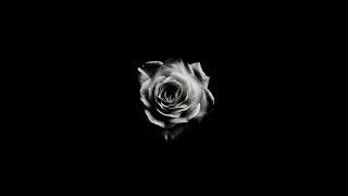 Halsey - The Prologue/Prol&oacute;gus magyar felirattal