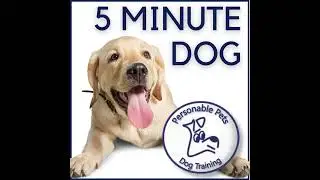 #166 Breeding Anxiety: The Hidden Cost of High-Energy Dogs