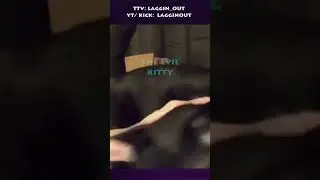 Evil Pussy Cat?!  #lagginout #lagginoutlive #funny #gaming #podcast
