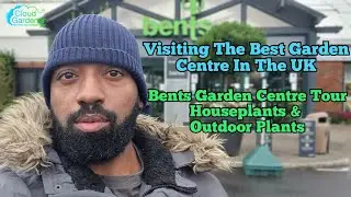 Bents Garden Centre Tour, Best Garden Centre In The UK. Houseplants & Indoor Plant Haul