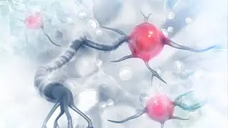 Balance Hormones - Rife Frequencies to Balance Hormones & Cleanse Endocrine System