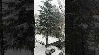 snowfall #mountains #travel #shorts