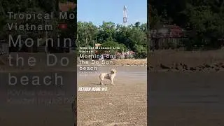 Morning on the beach | Tropical Monsoon Life - POV real video life Vietnam 🇻🇳 | return home 3