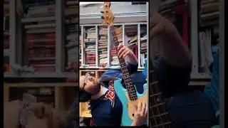 Slap Bass Lick #bass #slapbass #funkbass