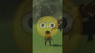 Wie oft muss ich das noch erkl&auml;ren mit Maronus Samen in Zelda: Breath Of The Wild