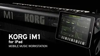 iM1 for iPad - Artists Impression