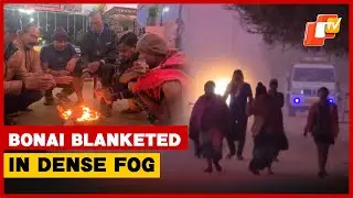 Dense Fog Blankets Bonai As Temperatures Dip Further, Daily Life Disrupted | Odisha