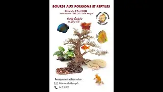 Bourse de Saint-Maurice-L'Exil - 02/04/2023