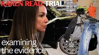Karen Read Trial (Pt 51) | Maureen Hartnett &ndash; MSP Forensic Scientist