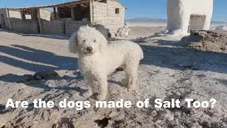 Salinas Grande, Argentina's largest salt flats