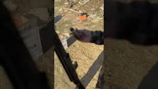 Saiga .410 (36cal) / 76mm slug