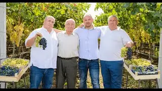 Proiect realizat pentru 