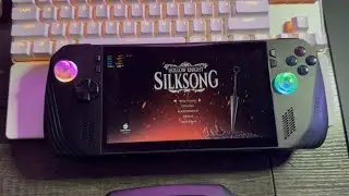 Hollow Knight Silksong Benchmark | Asus ROG Ally X 13W | 1080p | 120FPS