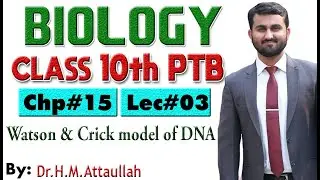 Watson and crick model of DNA | Chapter # 15 | Biology Class 10th | Lec# 03