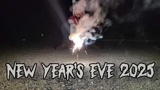 Новый год 2025 #новыйгод #2025 #2026 #фейерверки #семейноевремя #целидружбы #цели #смешно