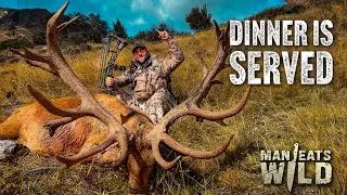 Harvesting Giant Red Stag Deer in New Zealand
