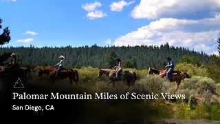 Palomar Mountain Miles of Scenic Views | San Diego, CA | San Diego Real Estate