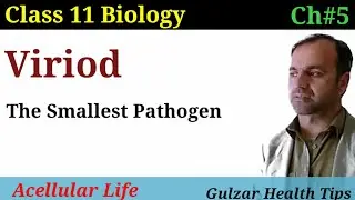 Viriod | The Smallest pathogens,Symptoms,cause,Transmission,Prevention and Treatment  | class 11Bio.