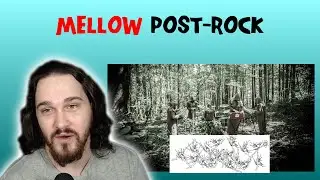 Composer/Musician Reacts to Botanist - Water (REACTION!!!)