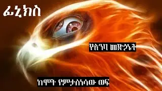 ፊኒክስ | ከሞት የምታስነሳው ወፍ | phoenix | አኸንታ ግምጃ ቤት
