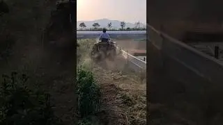 the rough man farms ...