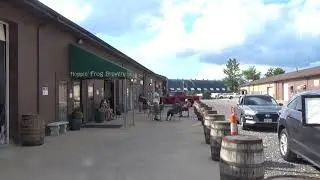 Hoppin Frog Brewery promo 8 1 2020
