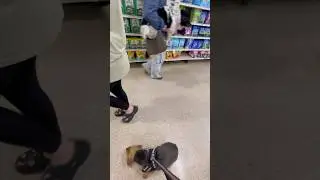 My service dog was super close to being attacked in pet smart! #servicedog
