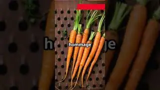 Pourquoi les carottes &eacute;taient violettes ? 🥕 | Contenu &Eacute;ducatif | Pourquoi?Parceque!  #science