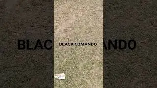 Black Black Black#entertainment #music