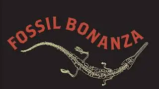 Fossil Bonanza-Jehol Biota Intro
