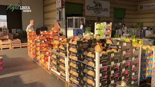 Il Mercato ortofrutticolo garantisce liquidità alle piccole imprese agricole