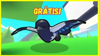 COMO TER A NOVA AVE 