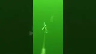 13. Dezember Waterwolf Auswertung von gestern Teil 5