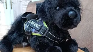 @Little.Paws.Plushies thank you so much! Unbox my Newfoundland douglas dog with me!