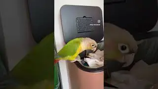 Очередь до мусорки дошла