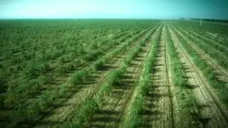 Wolf&Berry Orchard's Operation(易捷庄园）
