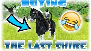 BUYING the last SHIRE and RACING GEAR Fluffy Unicorn Star Stable