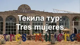 Текила тур Tres Mujeres (часть 2)
