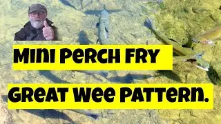 Flies for rainbow trout (mini perch fry)