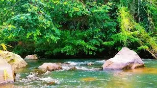 Pure Flowing River Sounds 🍃 Nature White Noise for Focus