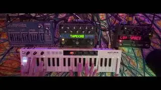 Dreadbox Nymphes with Eventide TimeFactor and Space ambient
