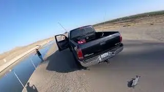 Striper boils on the California Aqueduct. Northern Cali striped bass fishing.