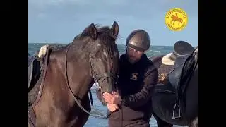 Trailer Strandreiten || Bernsteinreiter Erlebnisreiterhöfe