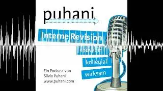 #386: Kompetentes Zur&uuml;ckrudern in der Internen Revision
