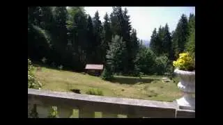 Alleinstehende Villa im Oberpfälzer Wald kaufen